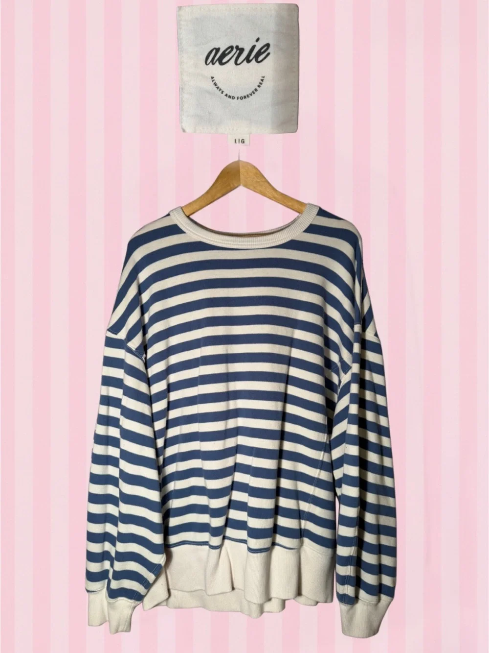 aerie Blue and Cream Striped Crewneck Sweater
